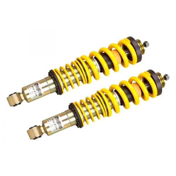 Belltech Fixed Dampening Front Struts for 0 to 3-Inch Drop (04-13 2WD/4WD F-150, Excluding Raptor)