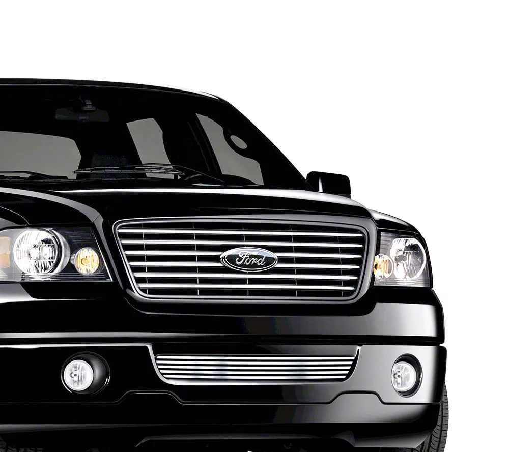Stainless Steel Billet Lower Grille Insert; Chrome (06-08 F-150)