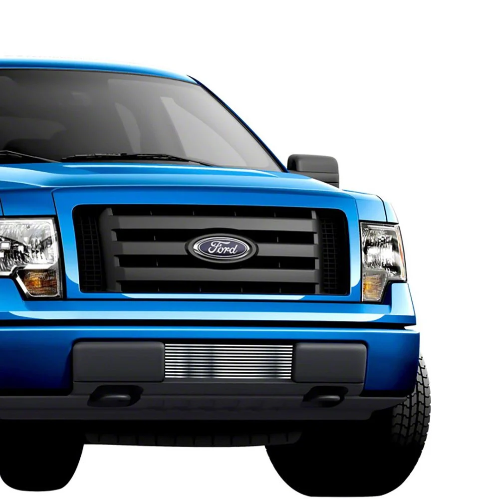 Stainless Steel Billet Lower Grille Insert; Chrome (09-14 F-150, Excluding Harley Davidson & Raptor)