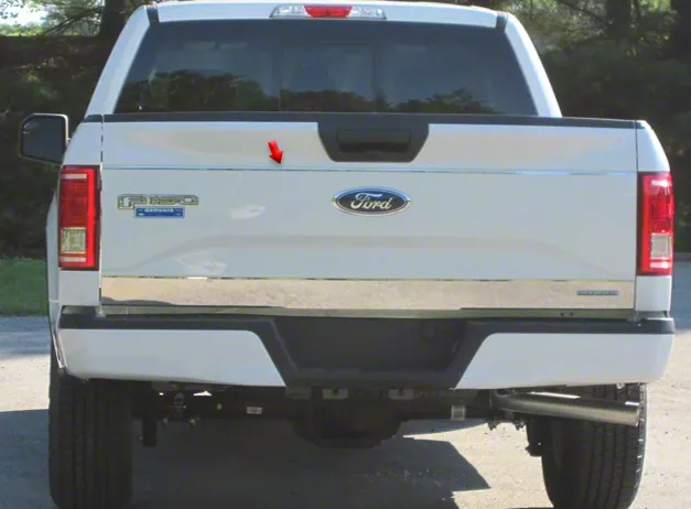 Tailgate Insert Trim; Stainless Steel (15-20 F-150)