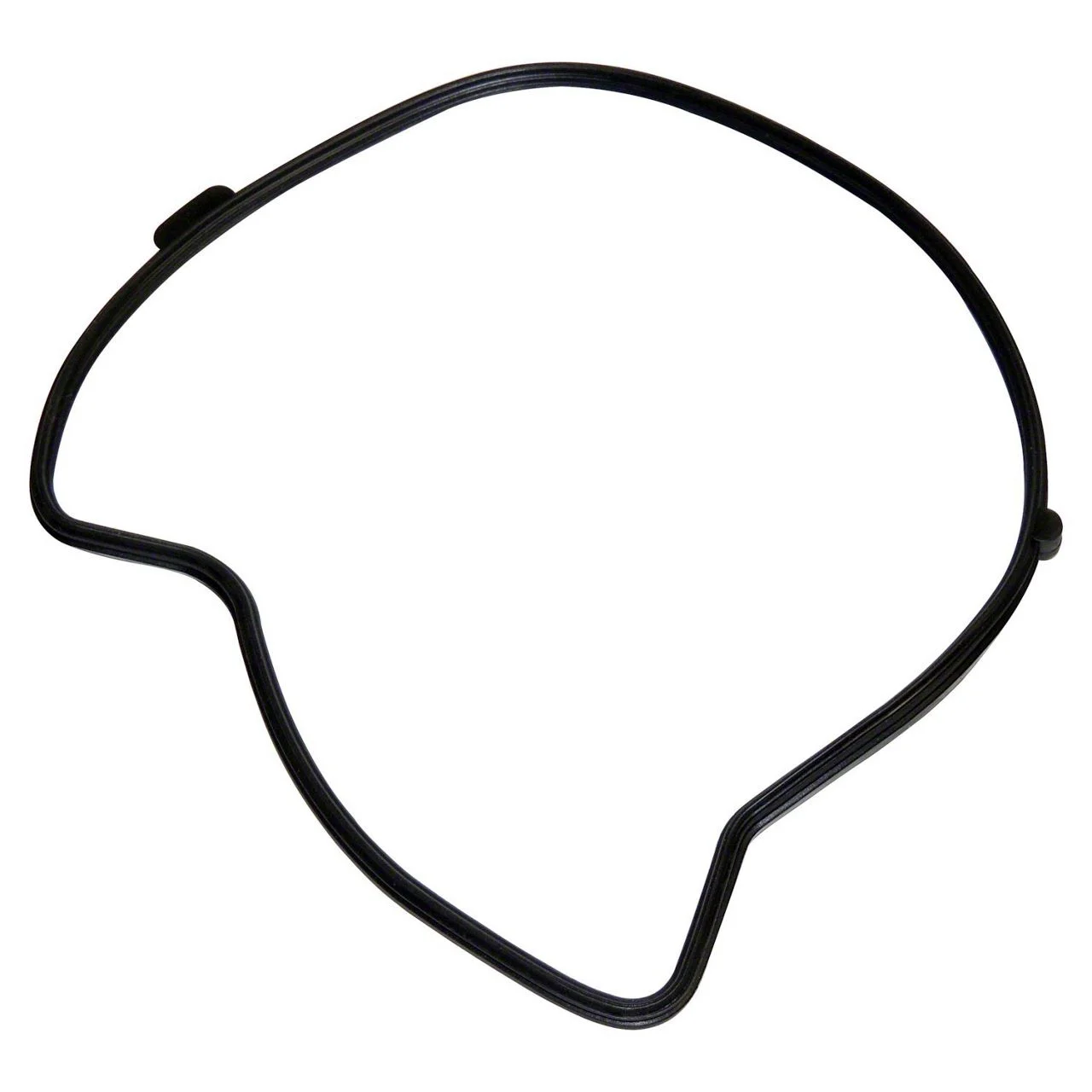 Water Pump Gasket (02-11 3.7L, 4.7L RAM 1500)