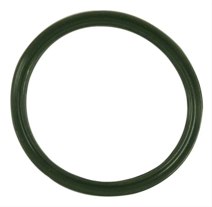 Vapor Canister Seal; Evaporative System (05-17 RAM 2500)