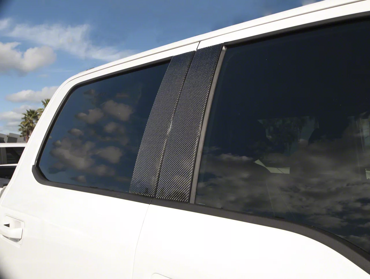 Door Pillar Accent Trim; Domed Carbon Fiber (15-20 F-150)